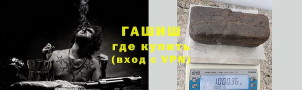 стаф Белокуриха