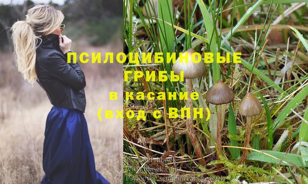 стаф Белокуриха