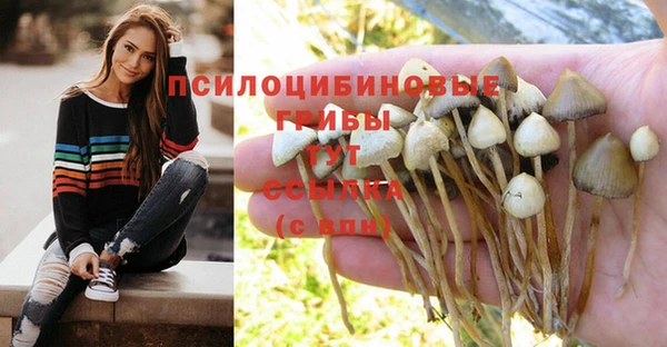 Альфа ПВП Белоозёрский