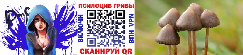 Псилоцибиновые грибы ЛСД  Павловск 