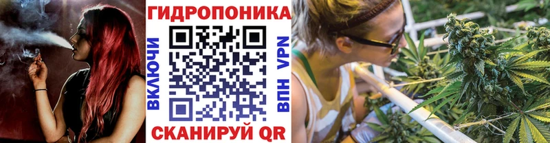 Шишки марихуана семена Павловск